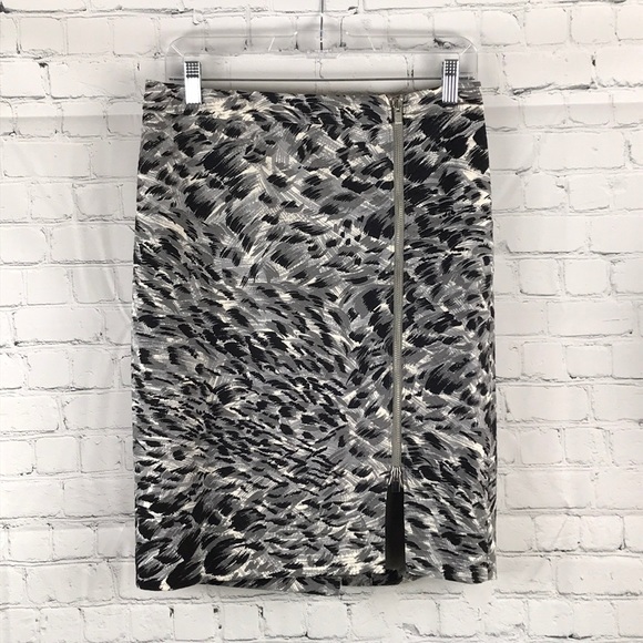 Talbots Dresses & Skirts - TALBOTS Zipper Leopard Print Skirt Lined 6P